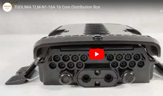 TLM-N1-16A 16 Caixa de Distribuição Principal